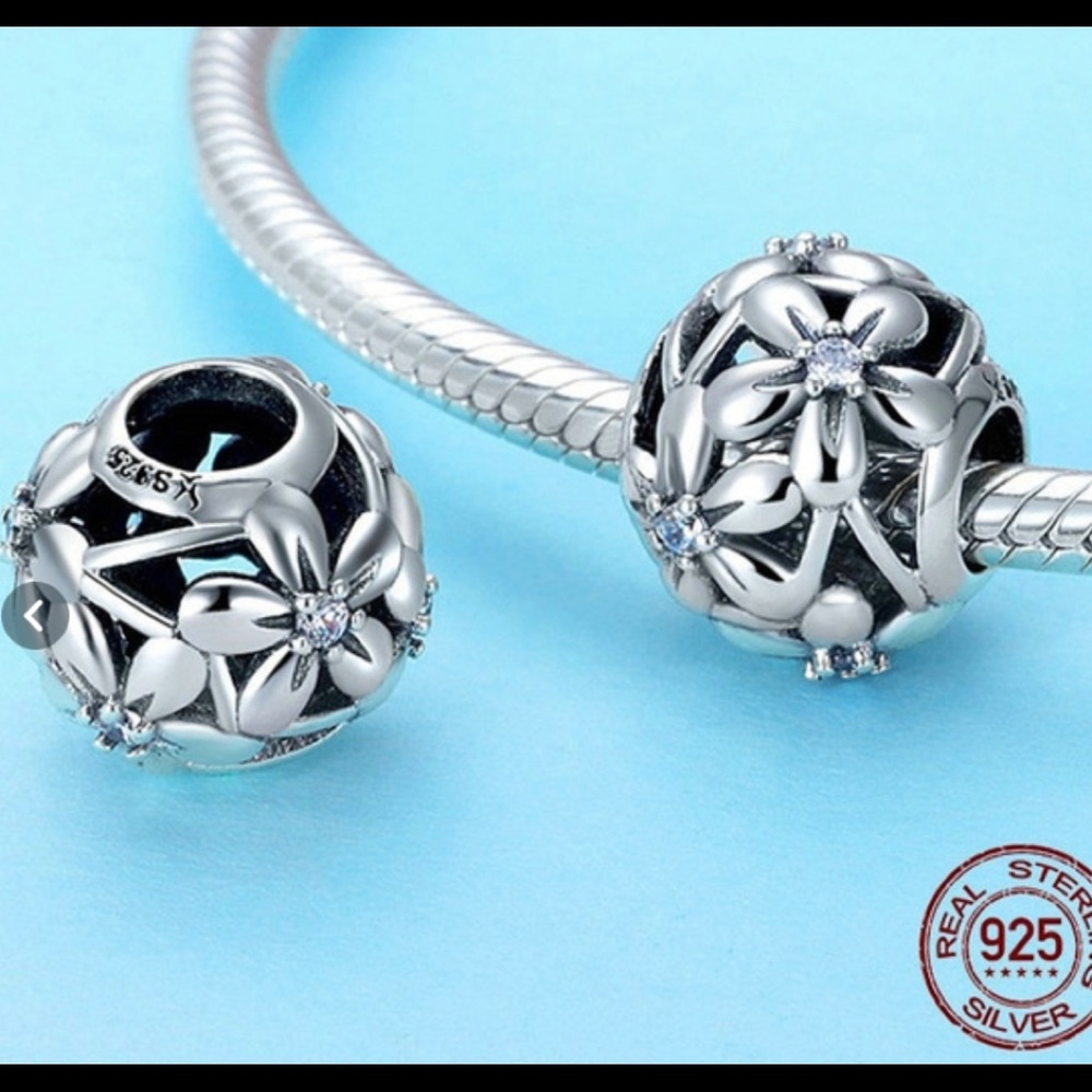 Charm S 925 silver